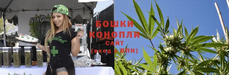 Бошки марихуана OG Kush  хочу наркоту  мега   Белогорск 